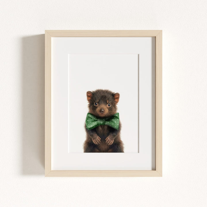 Baby Tasmanian Devil