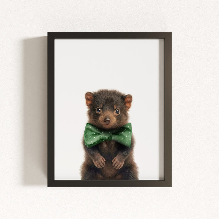 Baby Tasmanian Devil