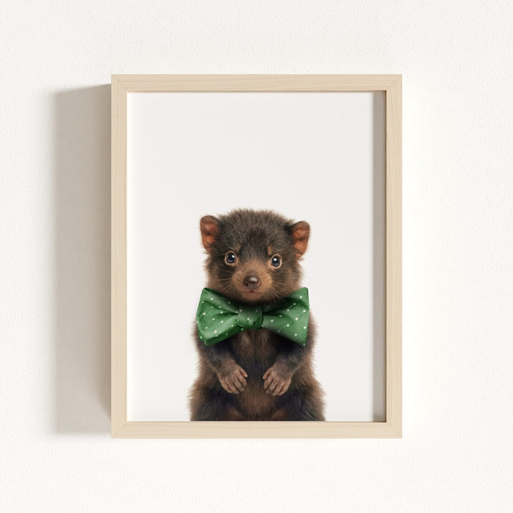 Baby Tasmanian Devil