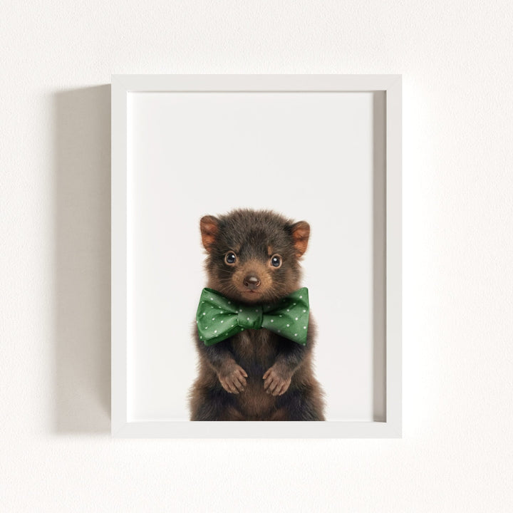 Baby Tasmanian Devil