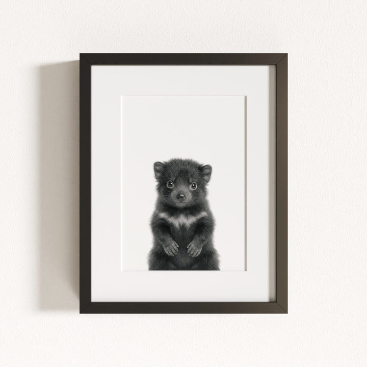 Baby Tasmanian Devil