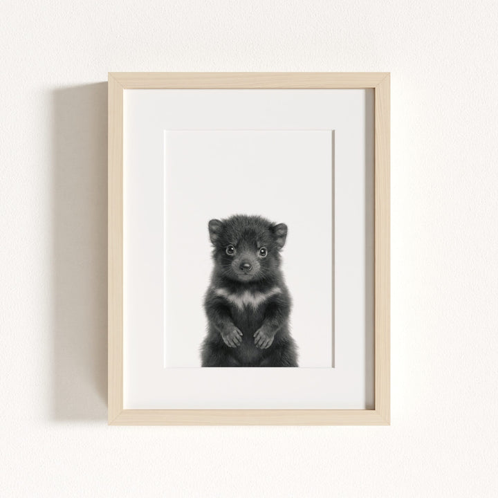 Baby Tasmanian Devil