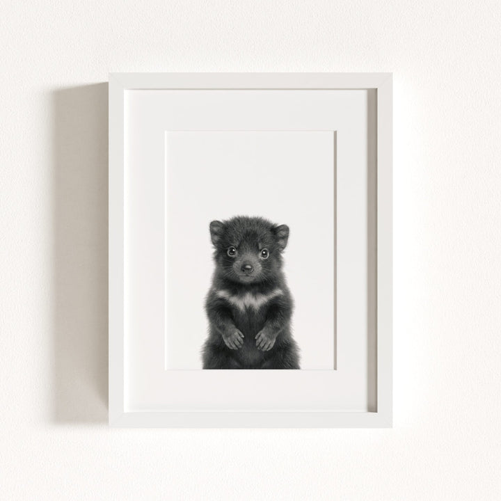 Baby Tasmanian Devil