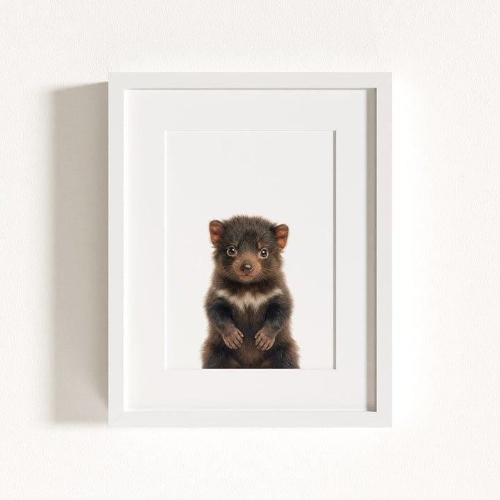 Baby Tasmanian Devil