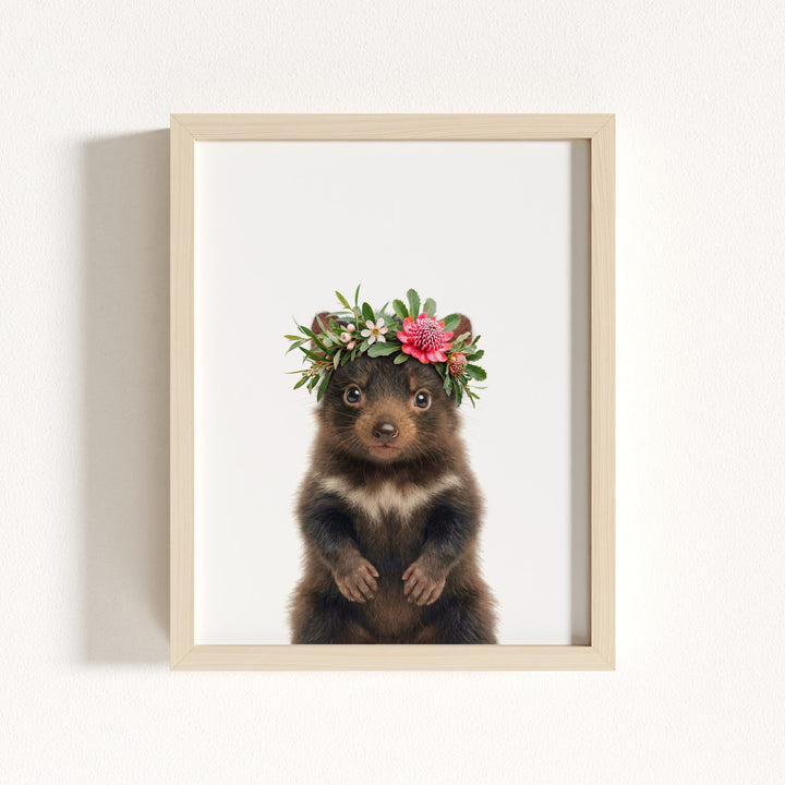 Baby Tasmanian Devil