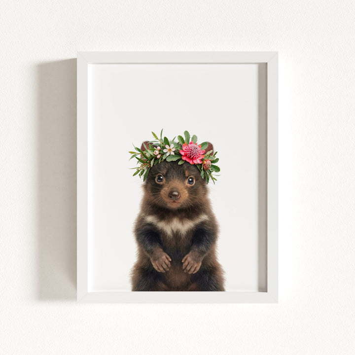 Baby Tasmanian Devil