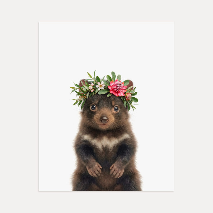 Baby Tasmanian Devil