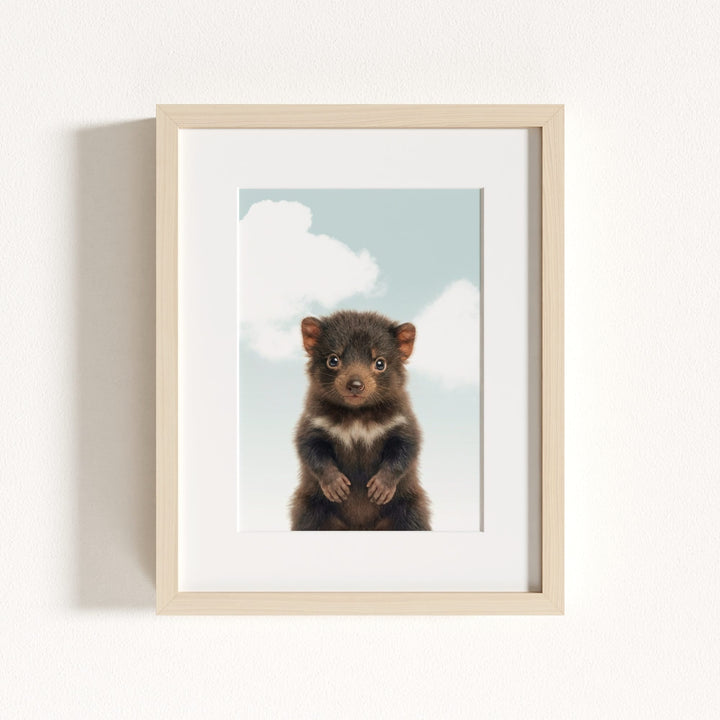 Baby Tasmanian Devil