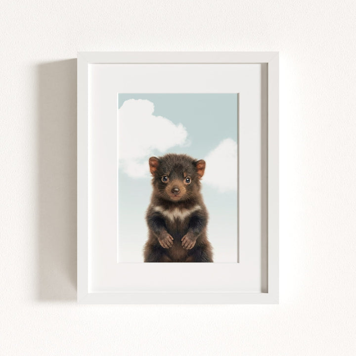 Baby Tasmanian Devil