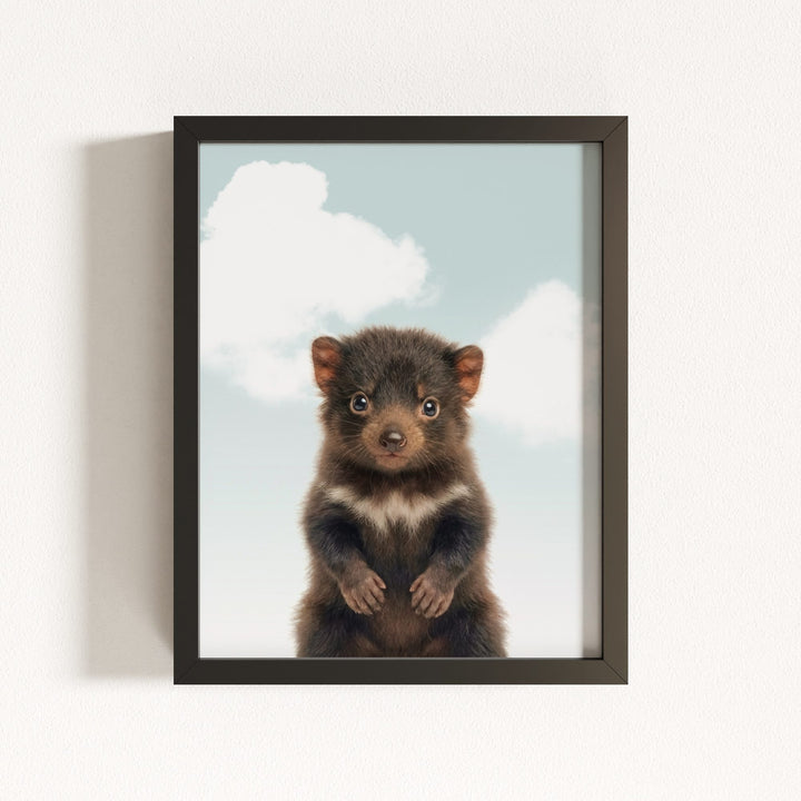 Baby Tasmanian Devil