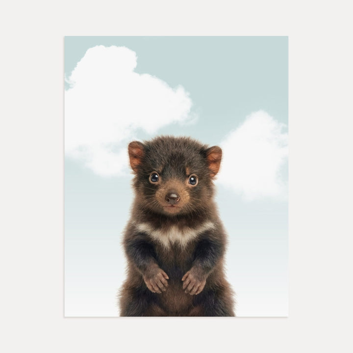 Baby Tasmanian Devil