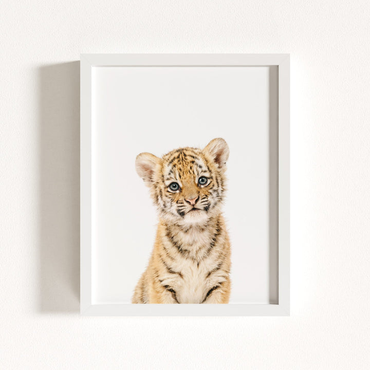Baby Tiger No. 1