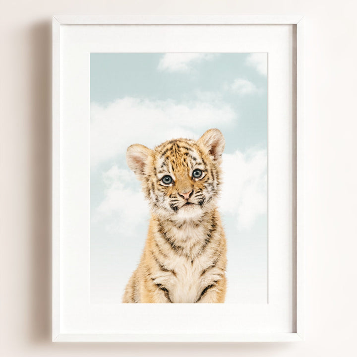 Baby Tiger No. 1