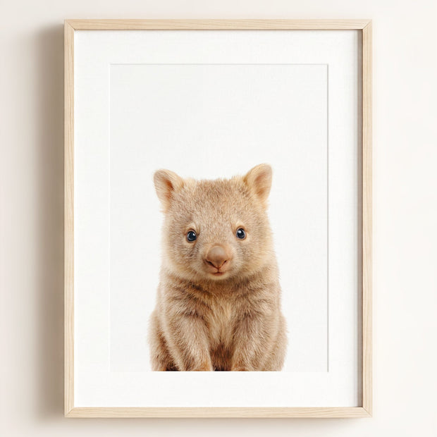 Baby Wombat