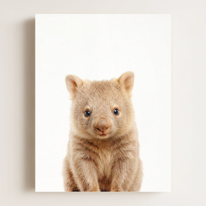 Baby Wombat
