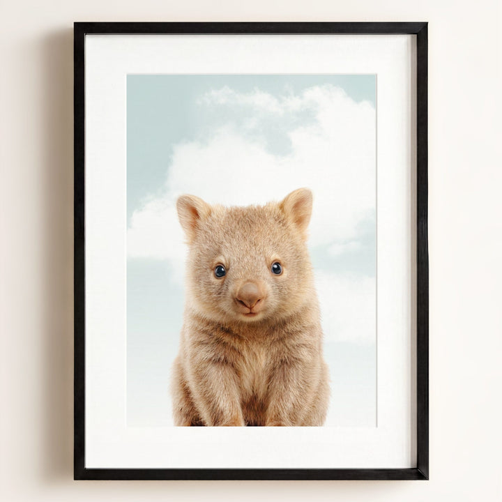 Baby Wombat
