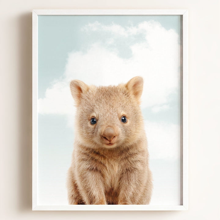 Baby Wombat