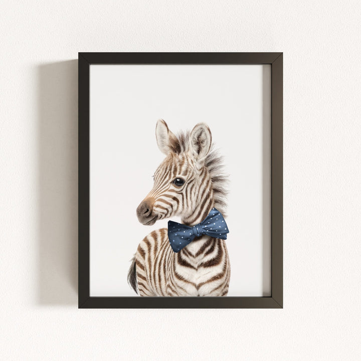 Baby Zebra