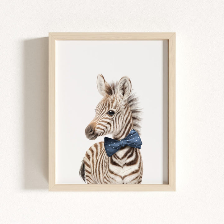 Baby Zebra