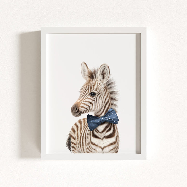 Baby Zebra