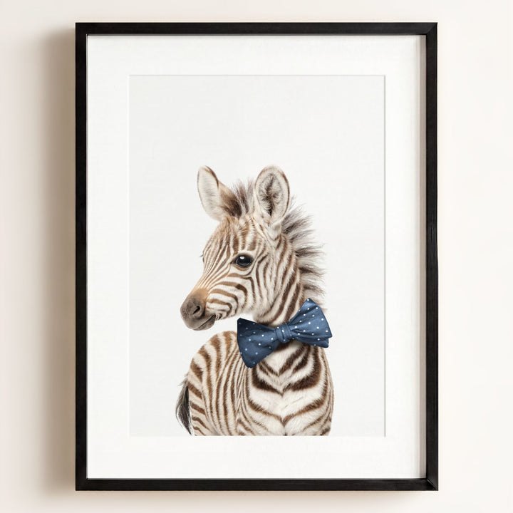 Baby Zebra