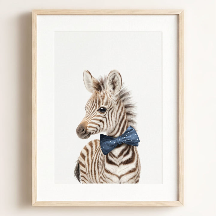 Baby Zebra