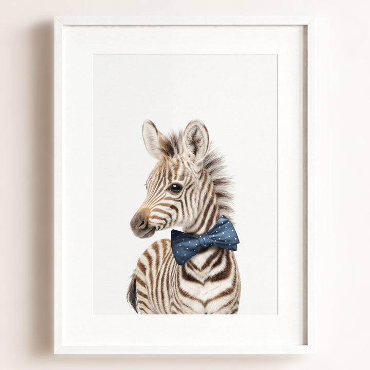 Baby Zebra