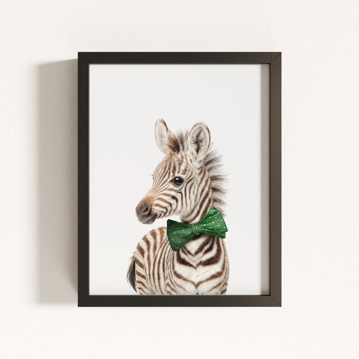 Baby Zebra