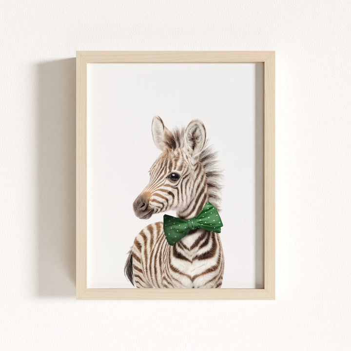 Baby Zebra
