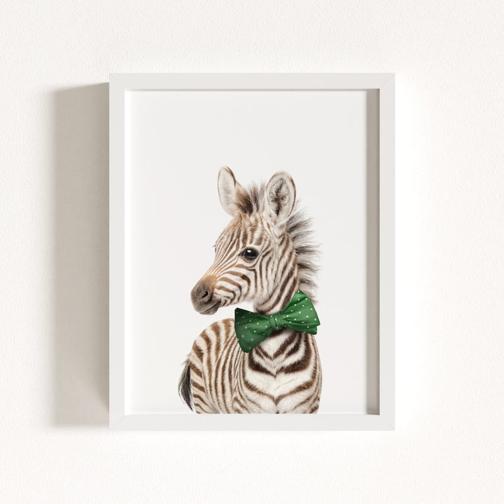 Baby Zebra