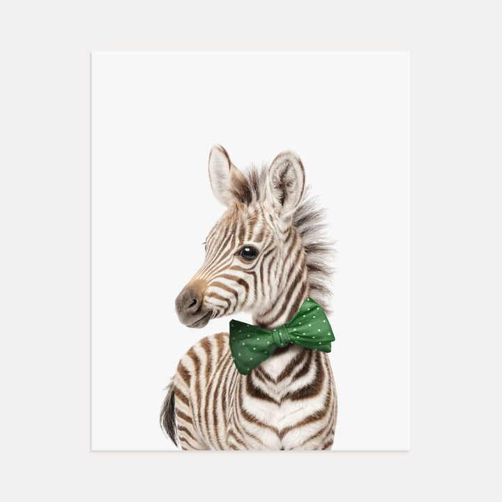 Baby Zebra