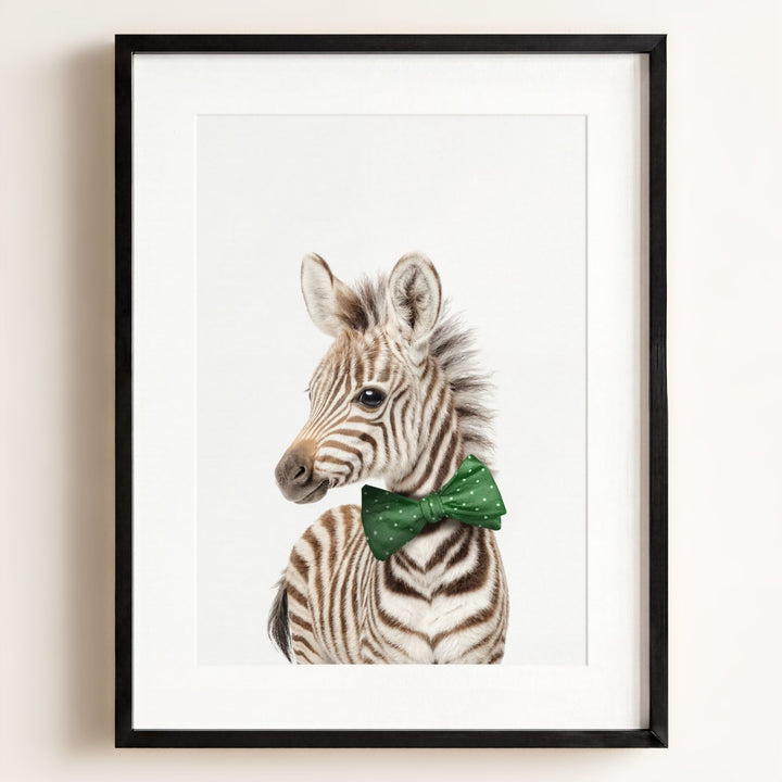 Baby Zebra