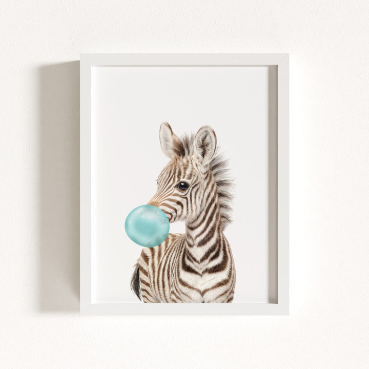 Baby Zebra