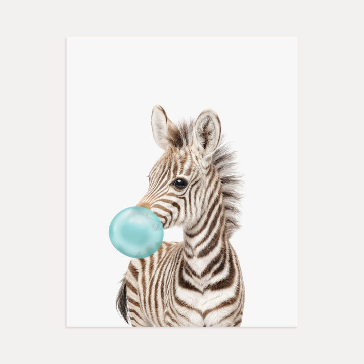 Baby Zebra