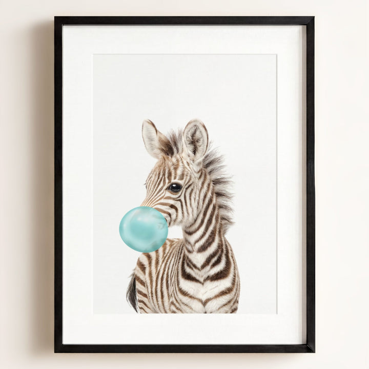 Baby Zebra