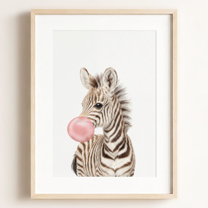 Baby Zebra