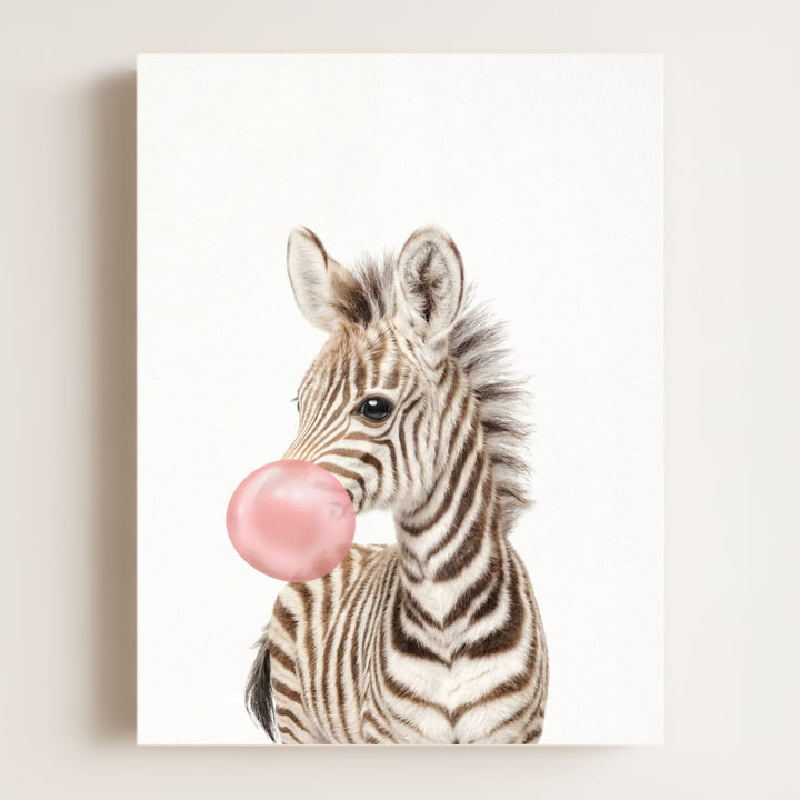 Baby Zebra