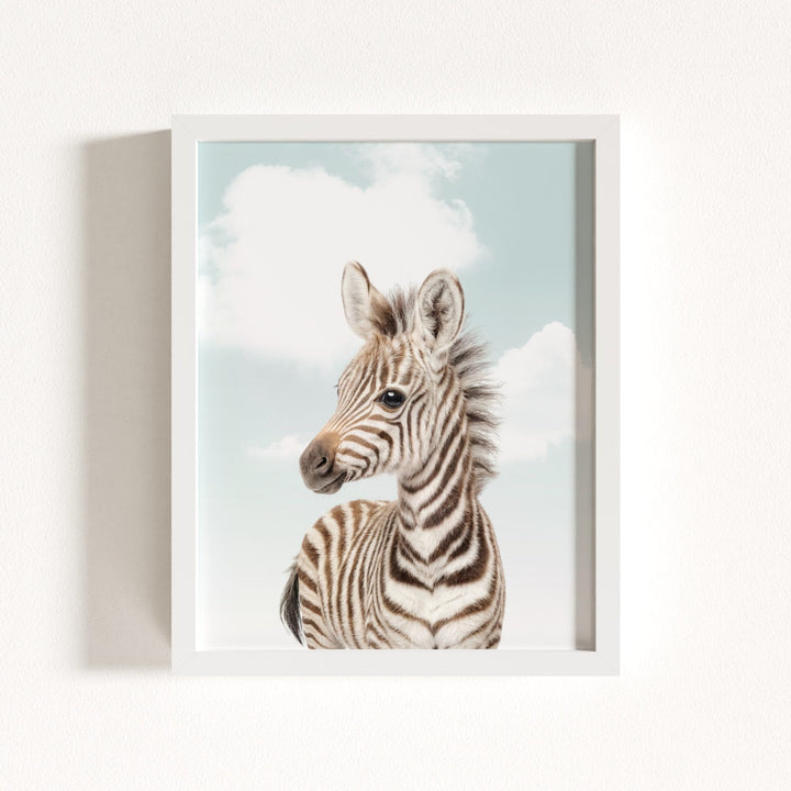 Baby Zebra