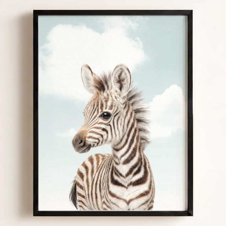 Baby Zebra