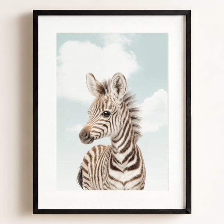 Baby Zebra