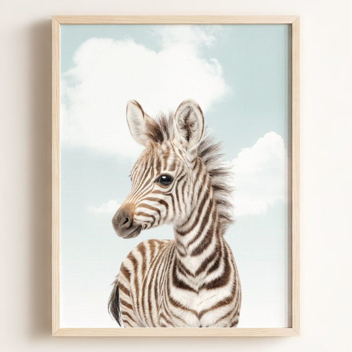 Baby Zebra