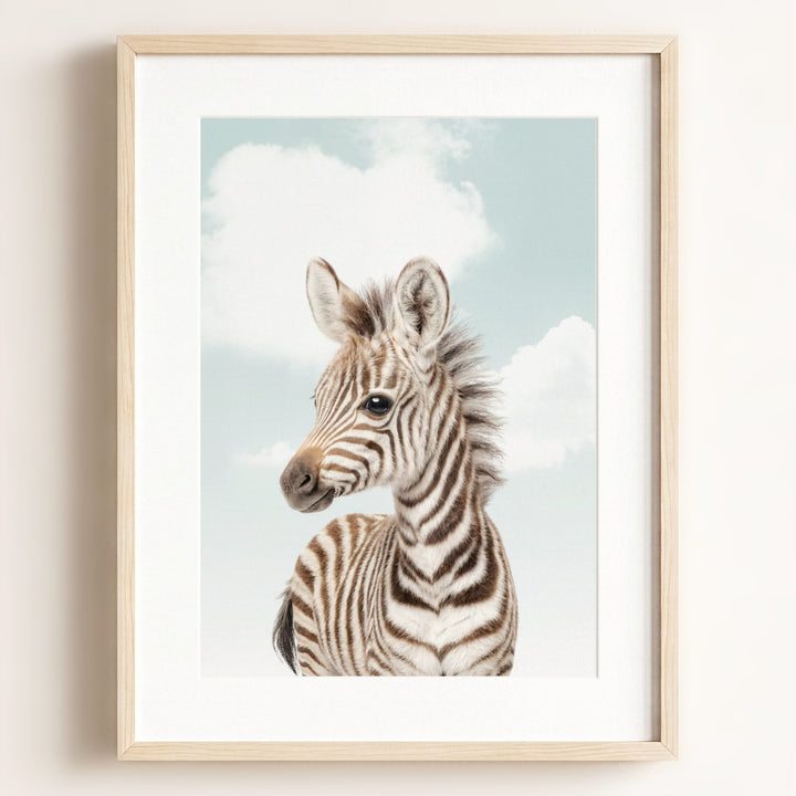 Baby Zebra