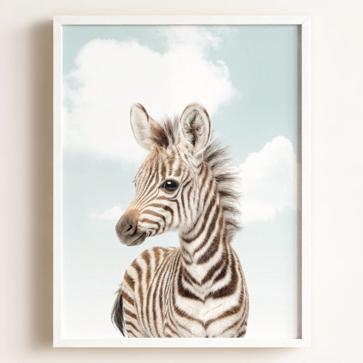 Baby Zebra