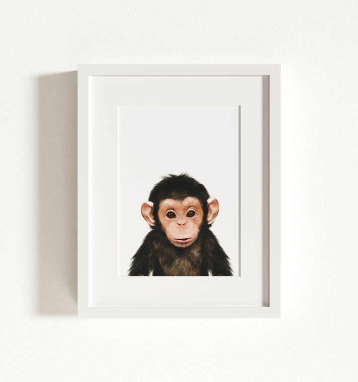 Baby Chimpanzee Framed Art