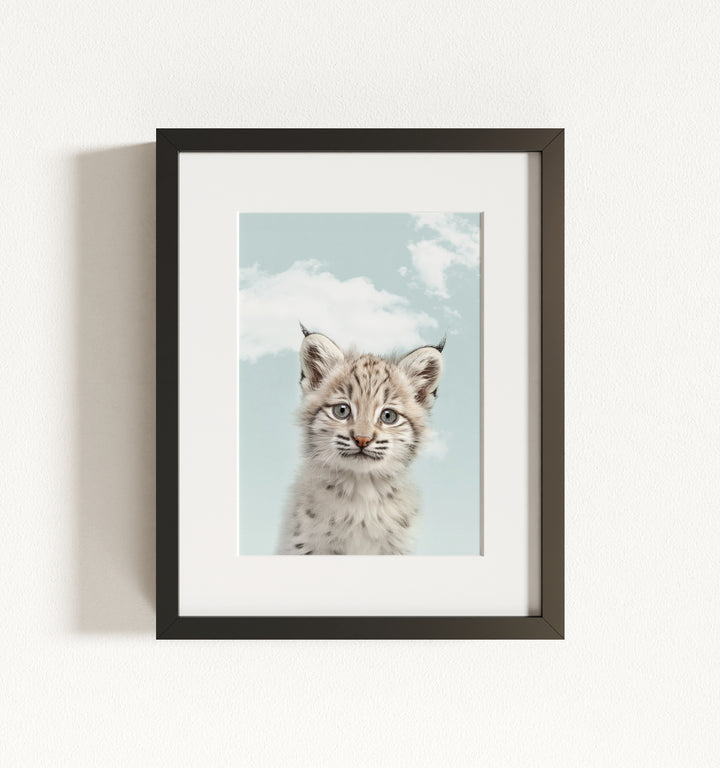 Baby Bobcat Framed Art