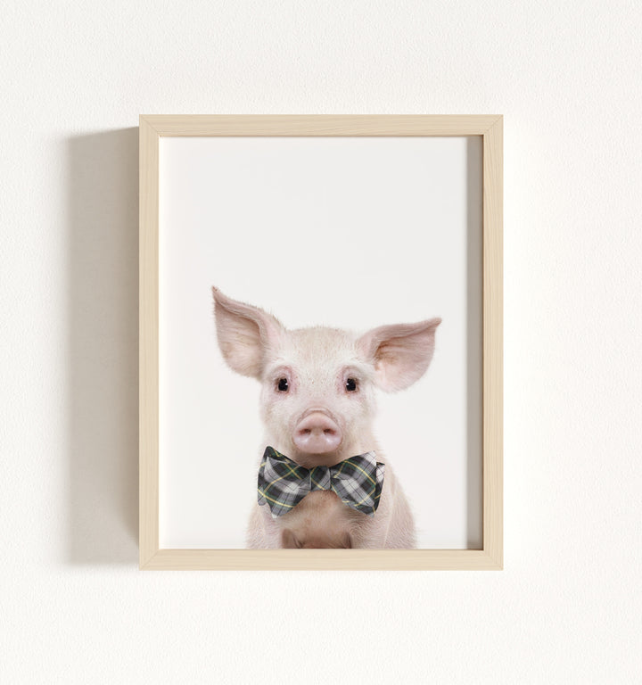 Baby Pig No. 2 Framed Art