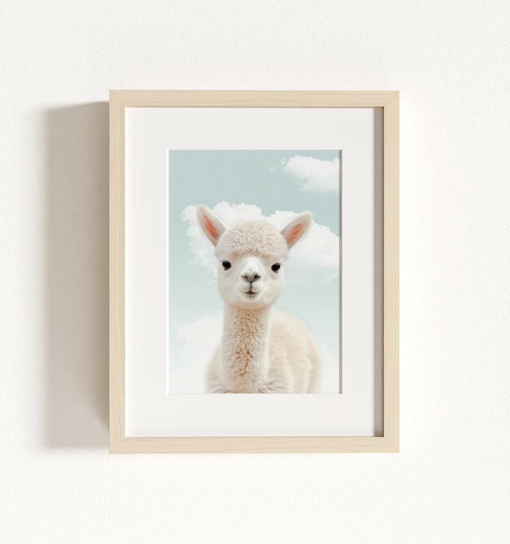 Baby Alpaca Framed Art