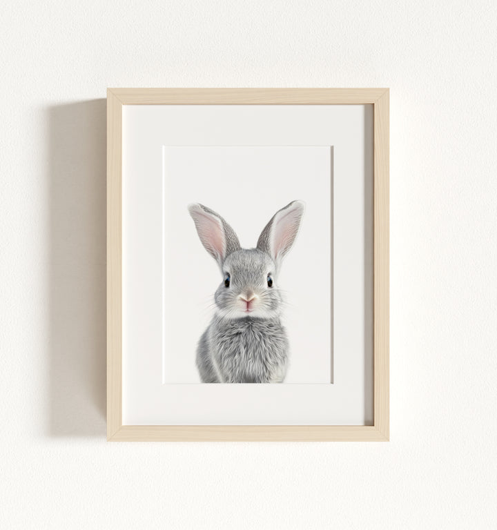 Baby Rabbit Framed Art