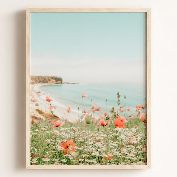 Beach Poppies – Framed
