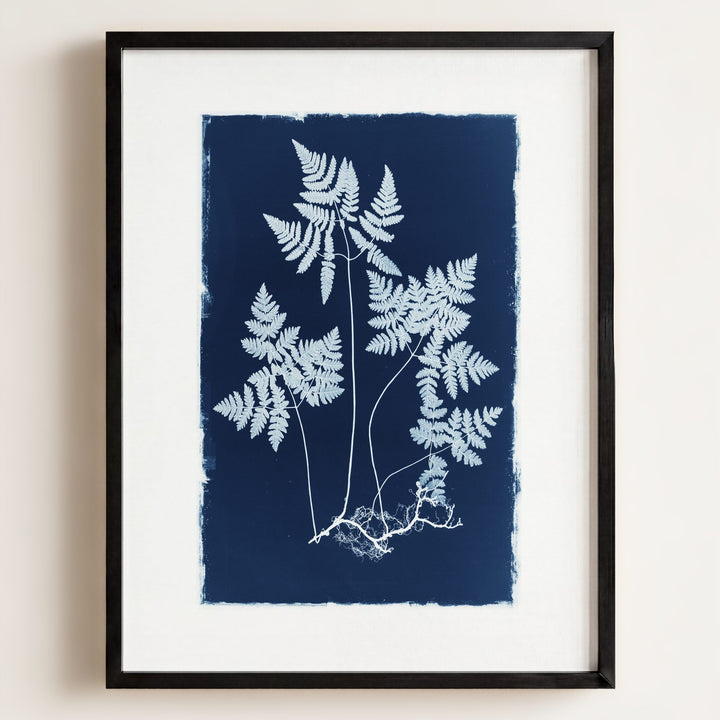Botanical Cyanotype No. 2
